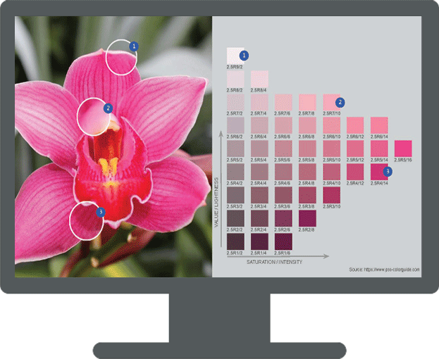 PRACTICAL GUIDE TO COLOR FOR DESIGNERS